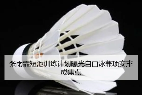 张雨霏短池训练计划曝光自由泳兼项安排成焦点